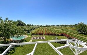 Ein angelegter Garten mit Schwimmbecken, ordentlich geschnittenen Hecken und blauem Himmel.