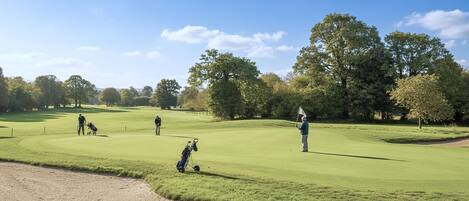 A golf course with a clear sky, trees, and golfers.