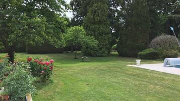 Une pelouse bien entretenue, agrémentée de diverses plantes à fleurs et d’arbres.