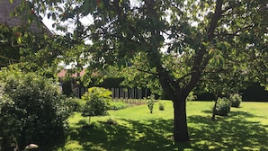 Ein gepflegter Garten mit einem großen Baum, verschiedenen Sträuchern und einer ordentlich geschnittenen Hecke.