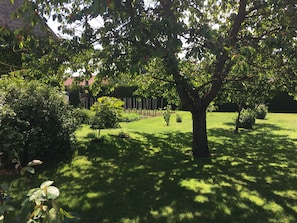 A well-maintained garden with a large tree, various shrubs, and a neatly trimmed hedge.