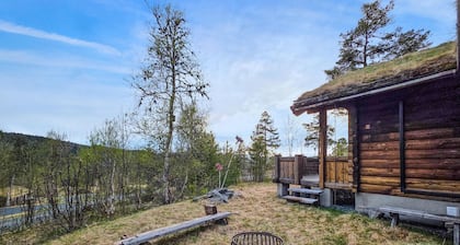 Amazing home in Rauland with sauna