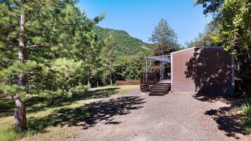 A gravel path leading to a building with a wooden deck and a metal roof, surrounded by pine trees and a mountain in the background.
