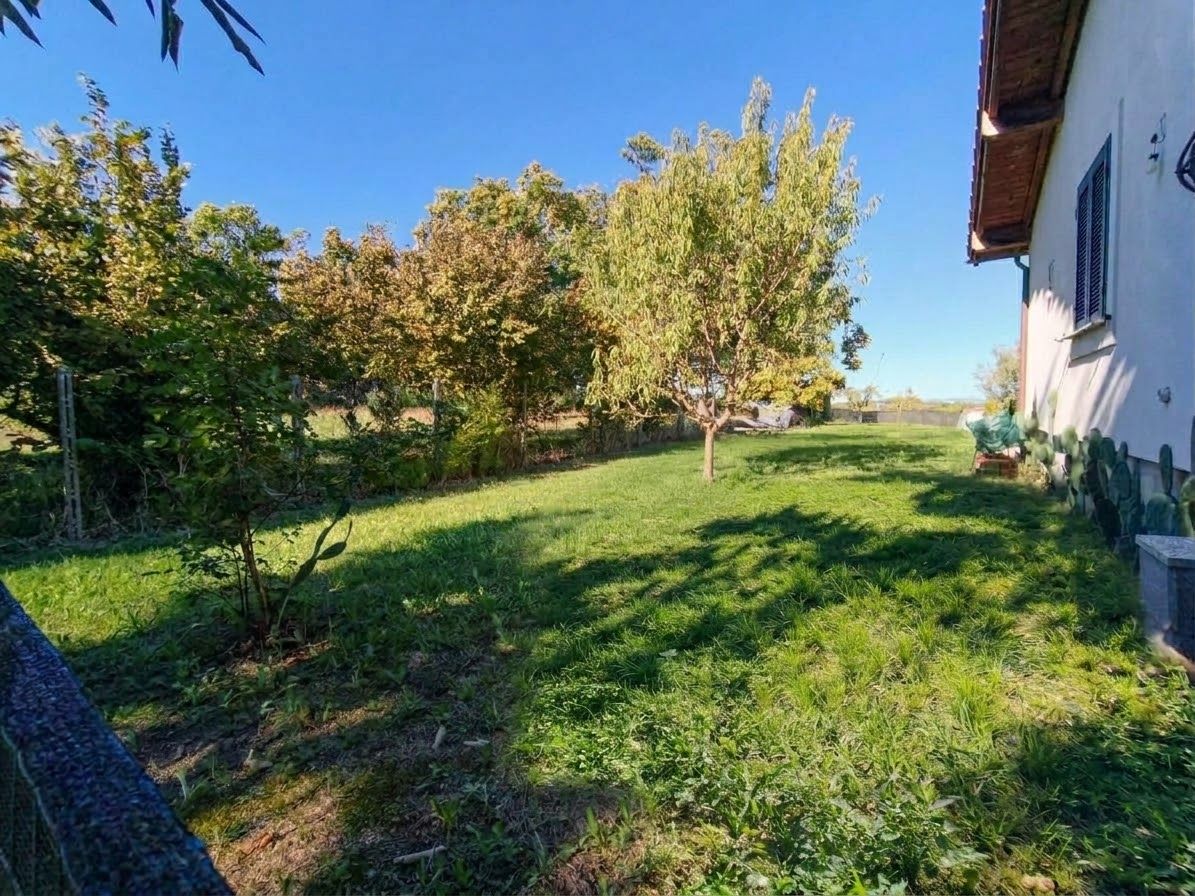 Un prato erboso con alberi e un edificio.