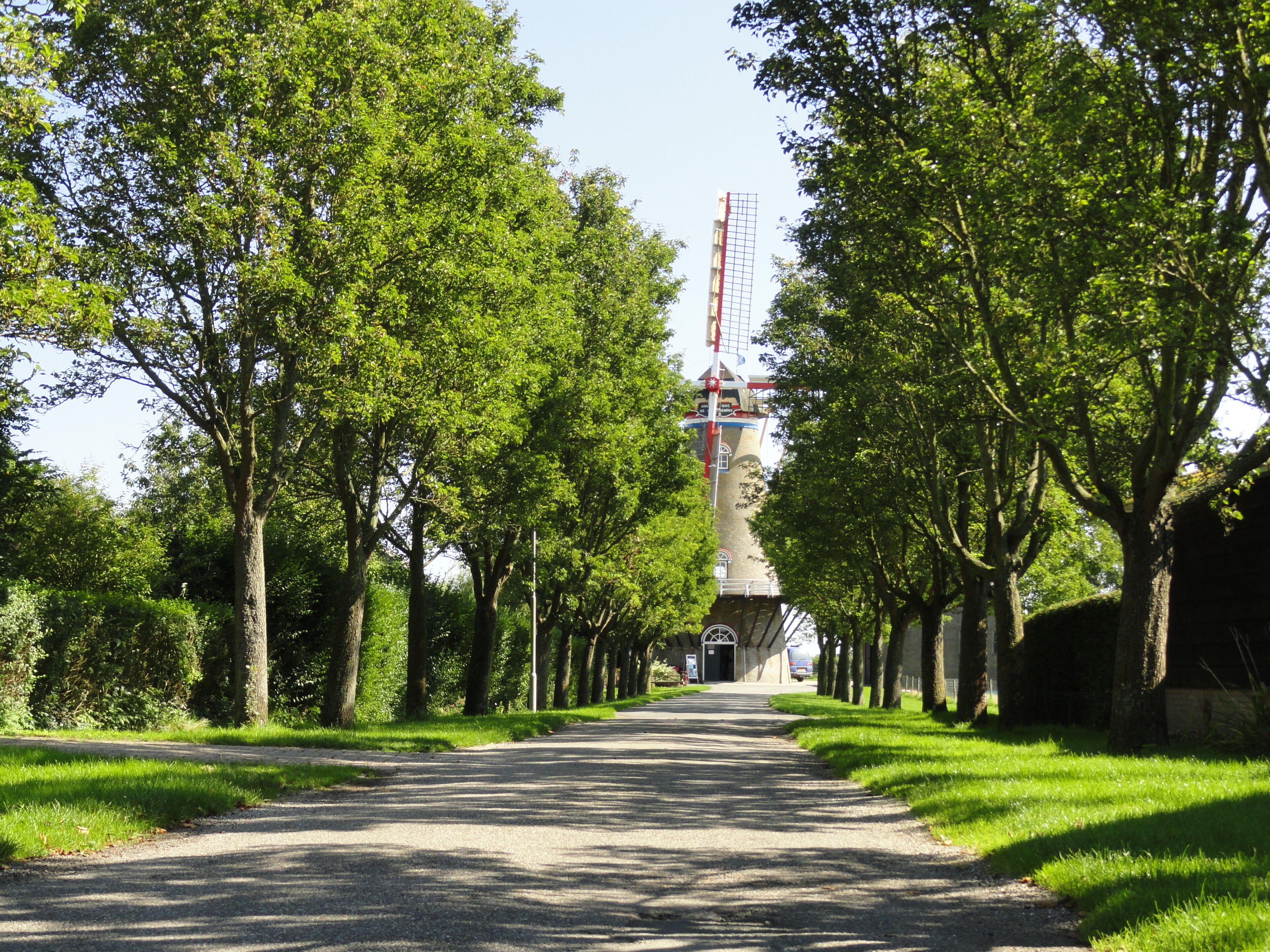 Ein von Bäumen gesäumter Weg, der zu einem Turm mit einer rot-weißen Struktur führt.