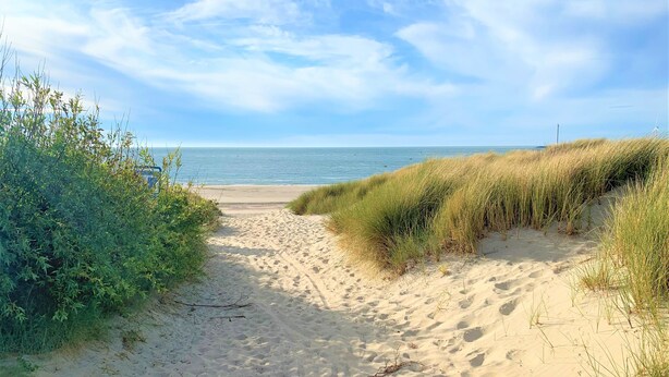 Um caminho de areia que leva ao mar, ladeado por grama e vegetação.
