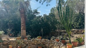 A stone wall with potted plants, a palm tree, and a cactus in a garden setting. - A stunning 4-bedroom home with swimming pool in Puerto Addaia, Menorca. (Port d'Addaia)