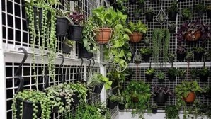 Unclassified image, 3 of 15, button - The Green Homez (Bengaluru)