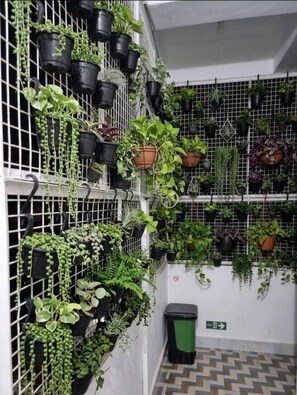 View from room - The Green Homez (Bengaluru)