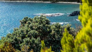 Paesaggio costiero con vista aperta sul mare, una scogliera rocciosa e vegetazione lussureggiante.