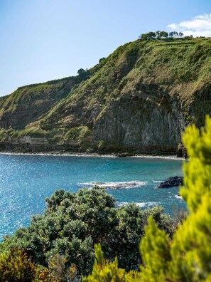 A coastal landscape with a clear view of the sea, a rocky cliff, and dense greenery. - AP200 (Ponta Delgada)