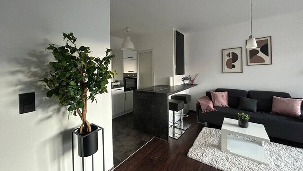 Un salon moderne avec un parquet en bois foncé, un canapé noir, une table basse blanche et une grande plante en pot.