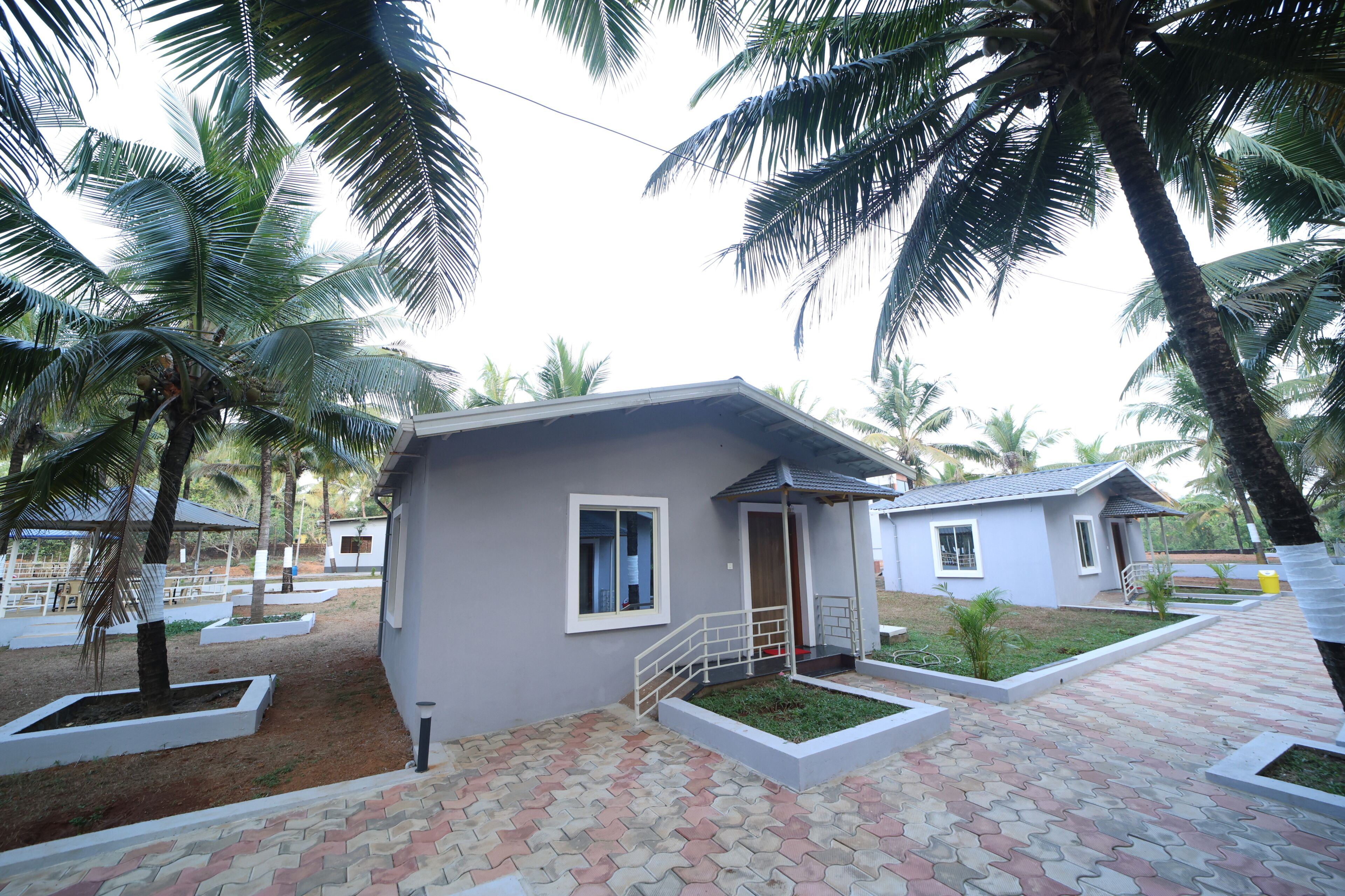 A residential area with small houses, paved walkways, and palm trees.
