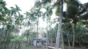 A small house surrounded by tall palm trees. - Aarna Coastal Resort (Bhatkal)