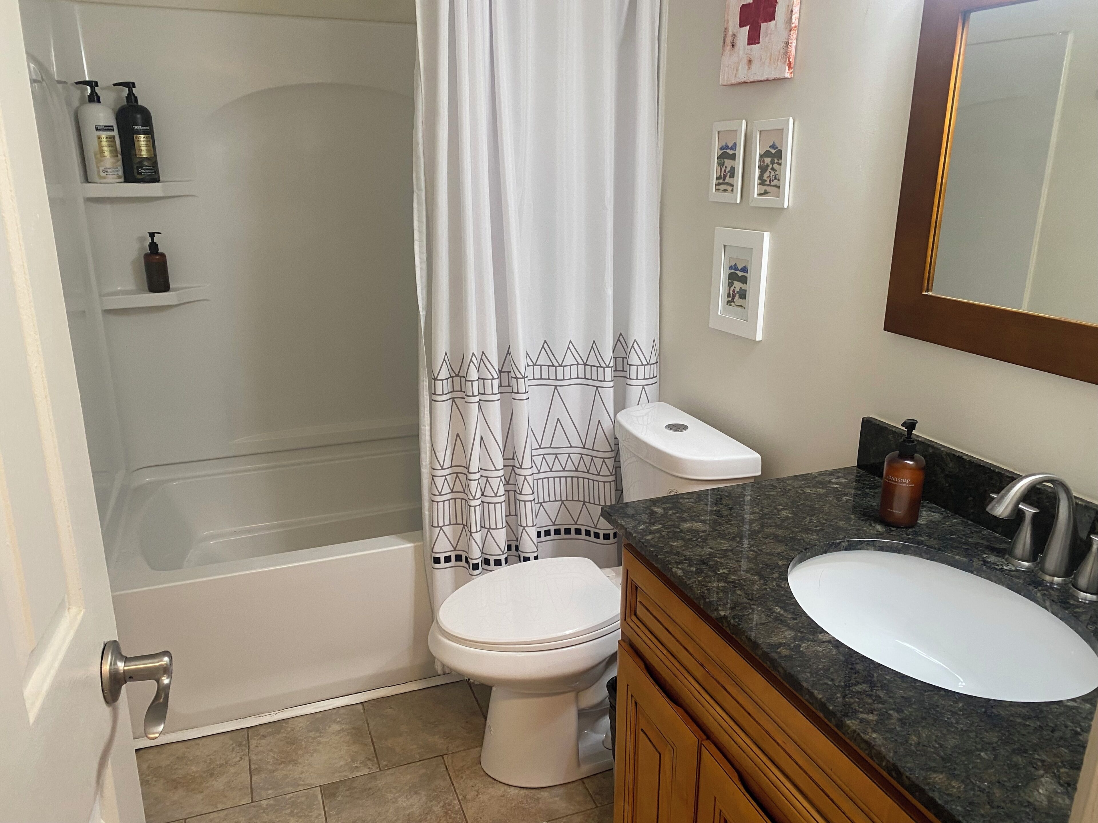 Hair dryer, towels, soap, toilet paper