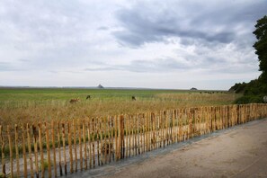 A rural landscape with a dirt road, a bamboo fence, and cattle grazing in the distance. - Gîte Mer - Outdoor Spa (Genêts)