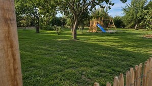 Un área verde con un parque infantil de madera y un tobogán azul.