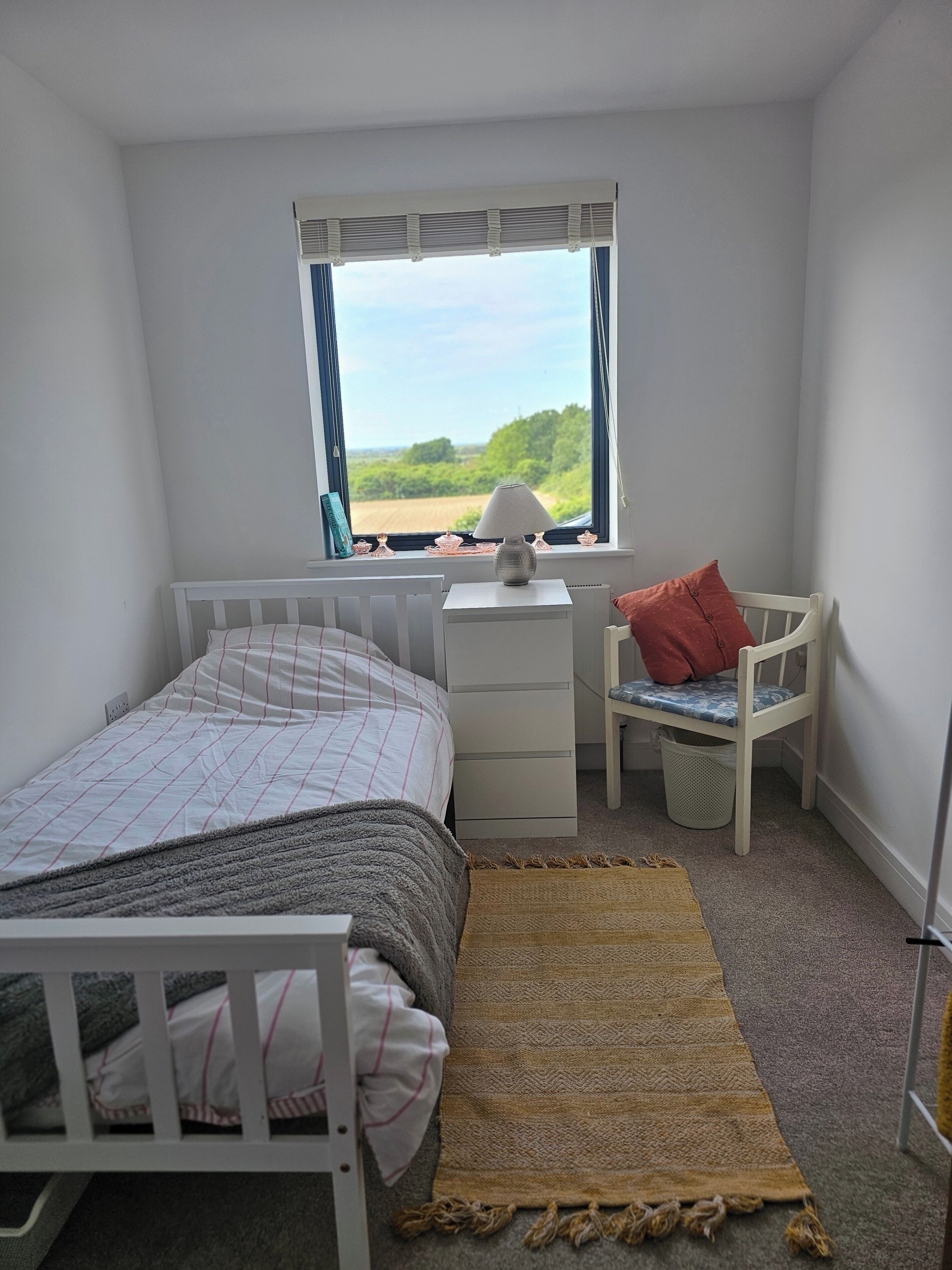 Une chambre à coucher avec un lit, un bureau, une chaise, une fenêtre donnant sur un beau paysage et un tapis.