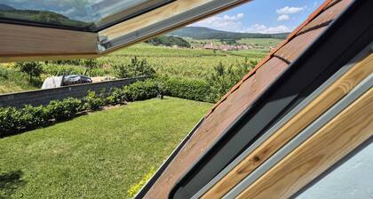 L'orée du vignoble - Le Nid, Alsace, self catering Alsace, wine route