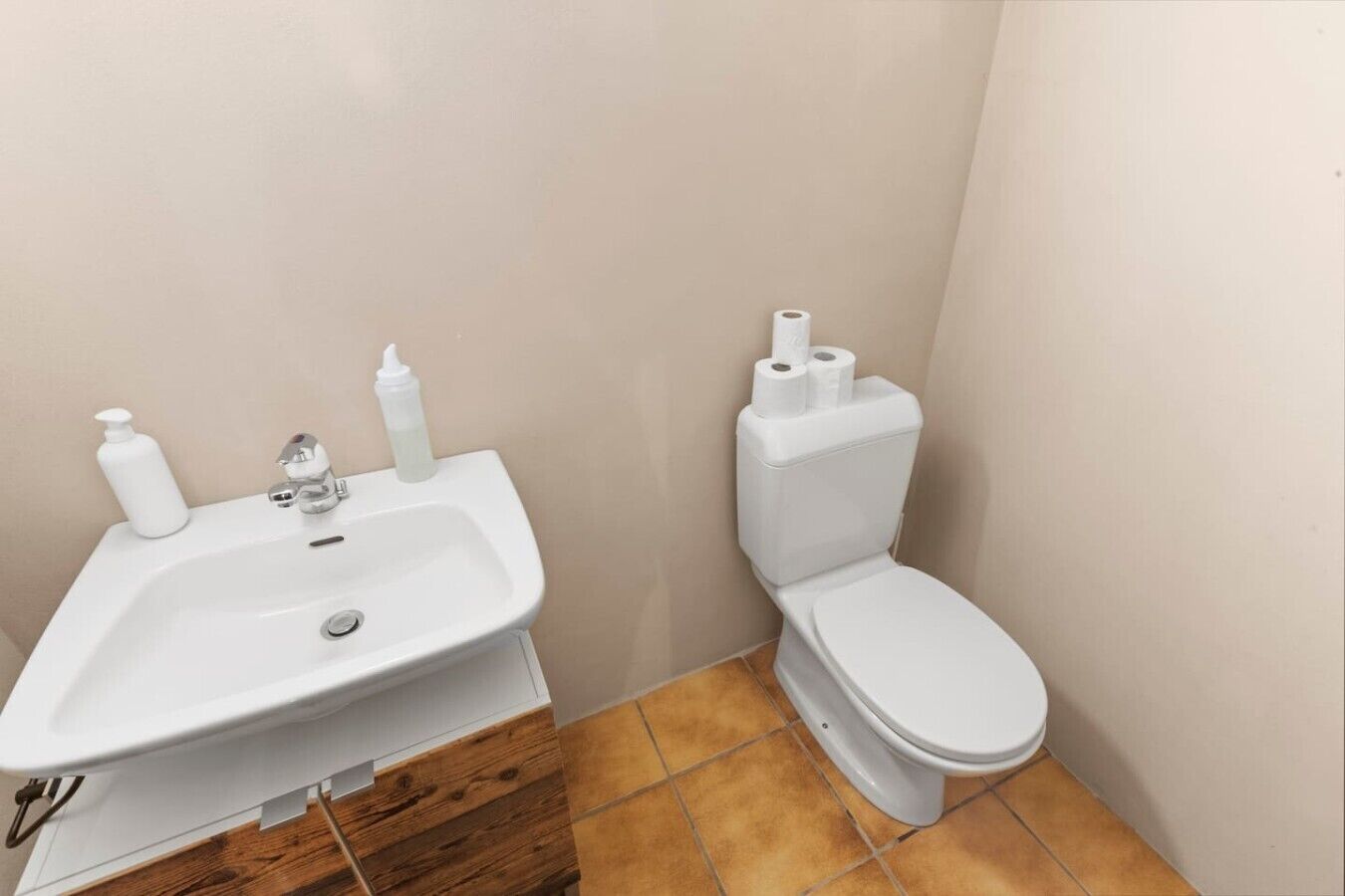 Kylpyhuone, jossa on valkoinen pesuallas, hana ja wc-istuin.