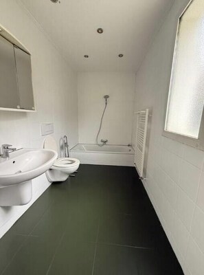 Hair dryer, towels, soap, toilet paper - Vrbo Property (Basel)