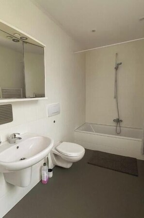 Hair dryer, towels, soap, toilet paper - Vrbo Property (Basel)