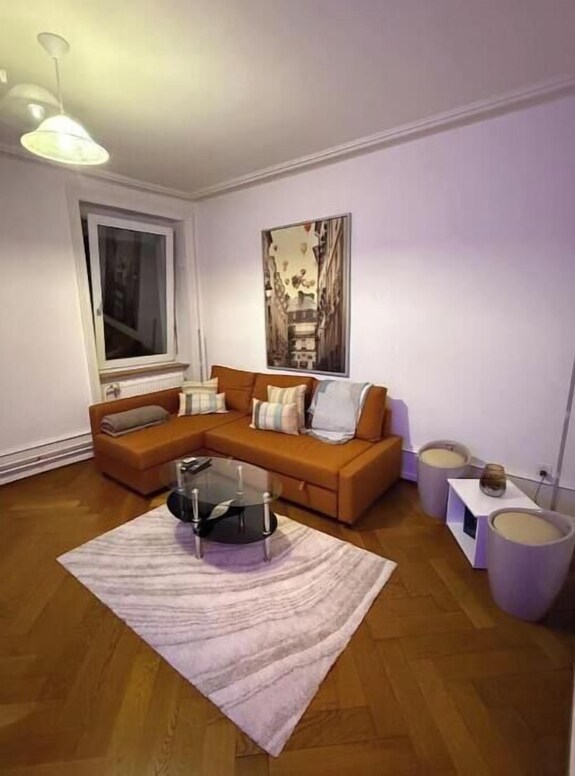 Chill&tranquil In St. Johann Near The Novartis Campus - Huningue