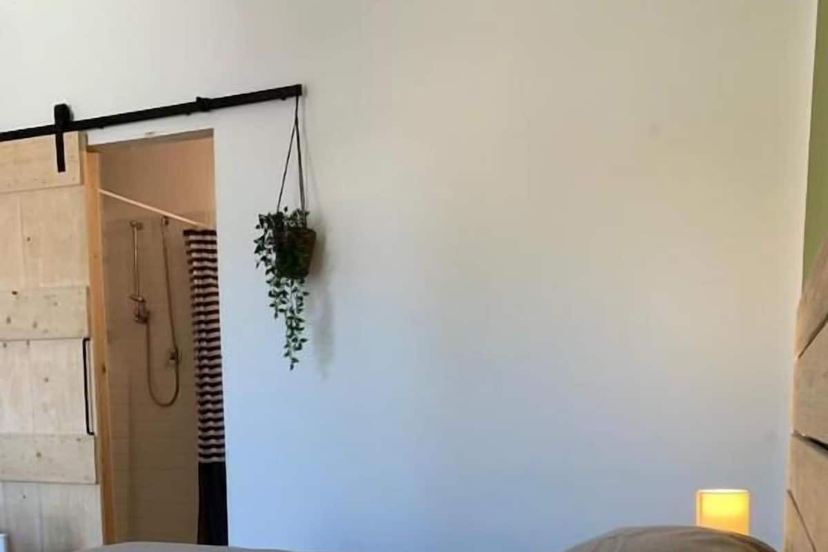Una cama con cabecera, una planta colgante, una cortina de ducha y una lámpara fijada a la pared.