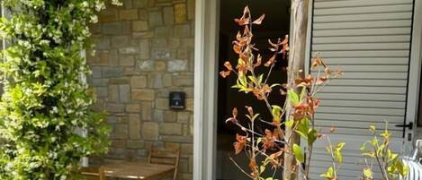 Double Room, Patio, Garden View | Outdoor dining