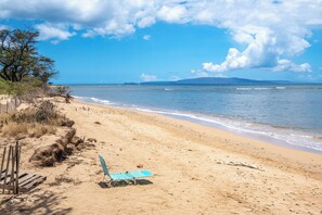 Ein Strand mit einem blauen Liegestuhl, sandigem Ufer und einem Baum.