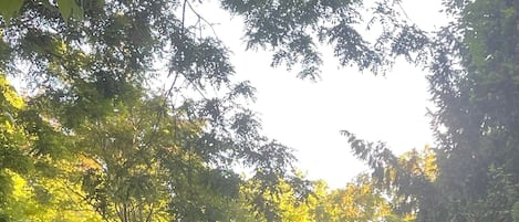 Tina de hidromasaje al aire libre