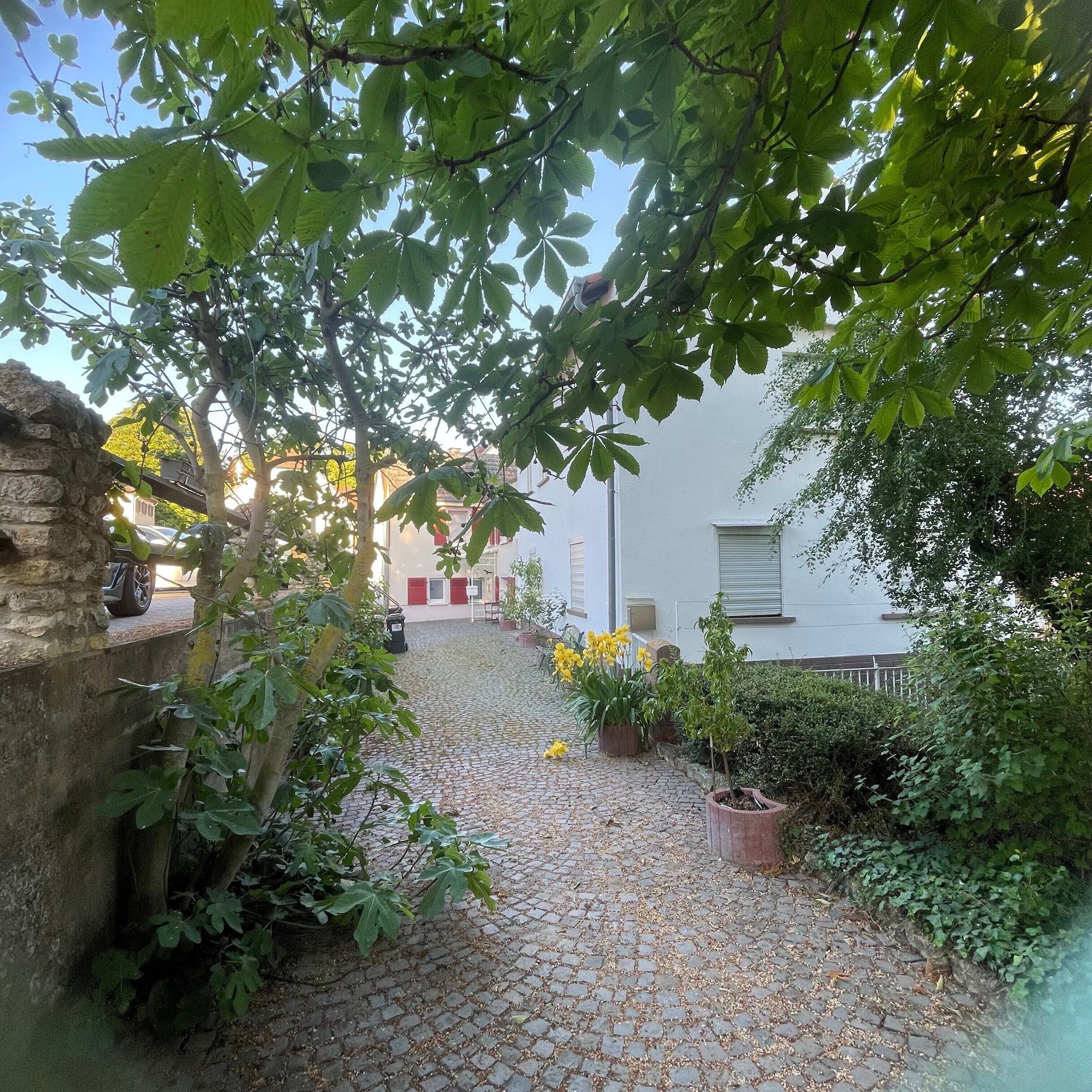 Área da propriedade