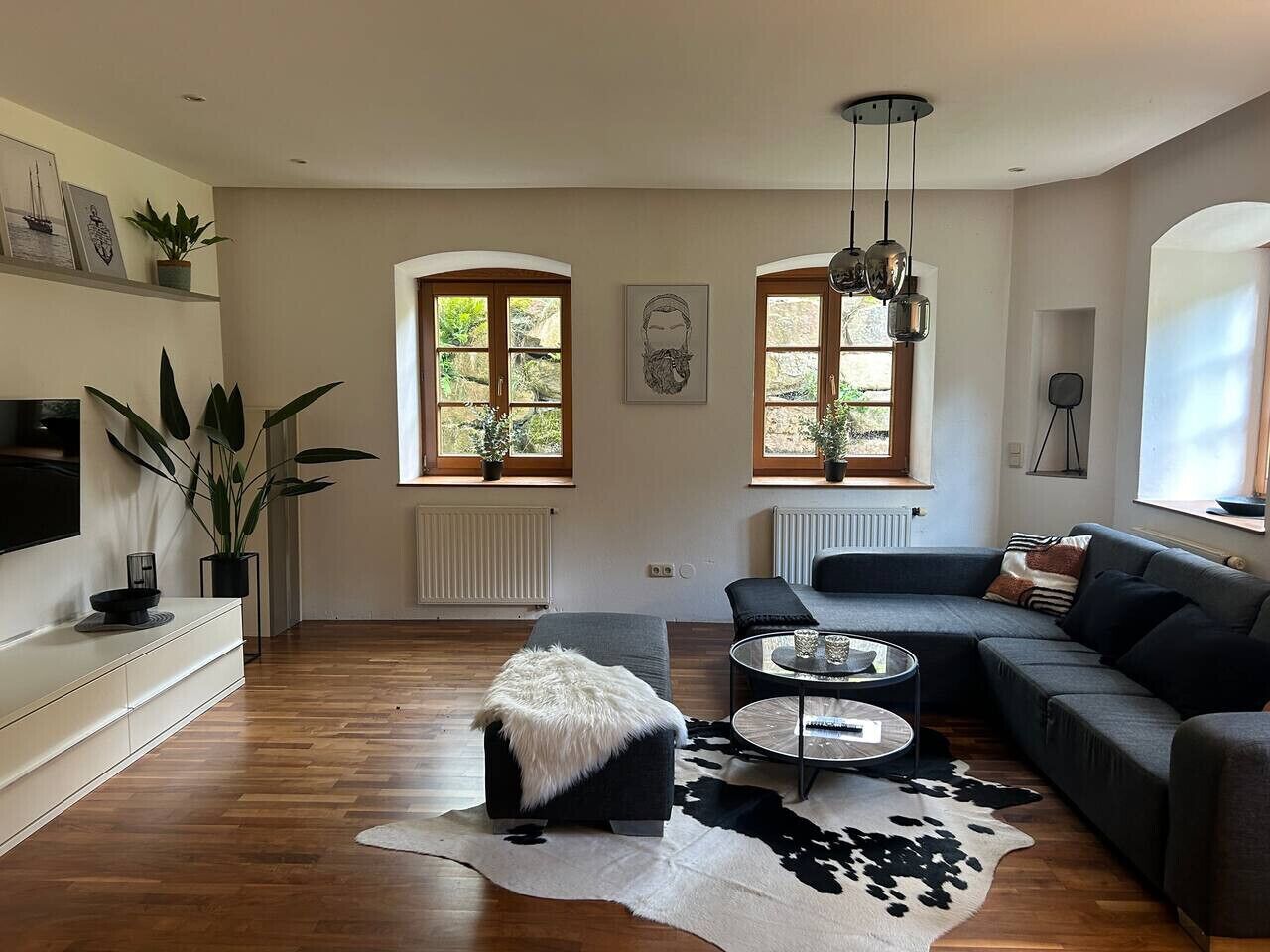 TV, fireplace