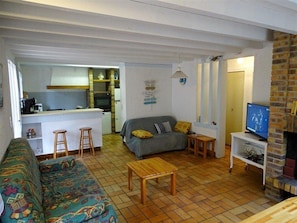 A compact living space with a sofa, a small table, a television, a kitchen area, and a fireplace. - Welcoming family house - 6 guests (Moliets-et-Maa)