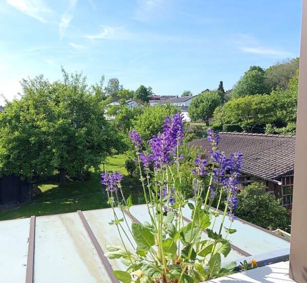 Miscellaneous - Vrbo Property (Wiehl)