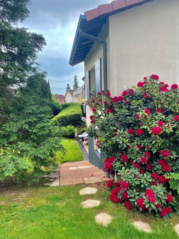 Un chemin menant Ă un bĂątiment dotĂ© dâun jardin, dâun arbuste aux fleurs rouges et surplombant un ciel dĂ©gagĂ©.