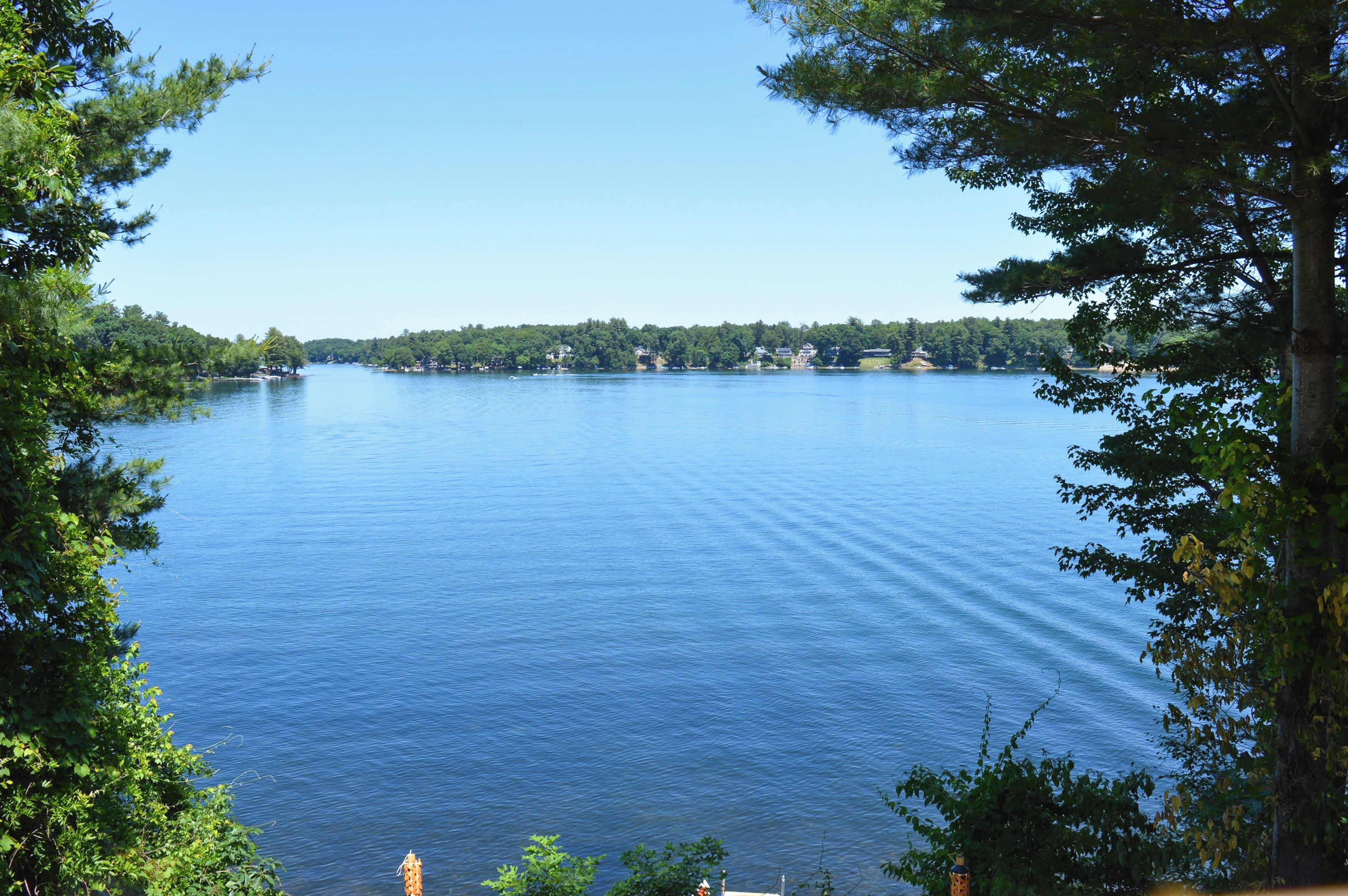 A lake with a forested shoreline, calm water, and distant buildings.
