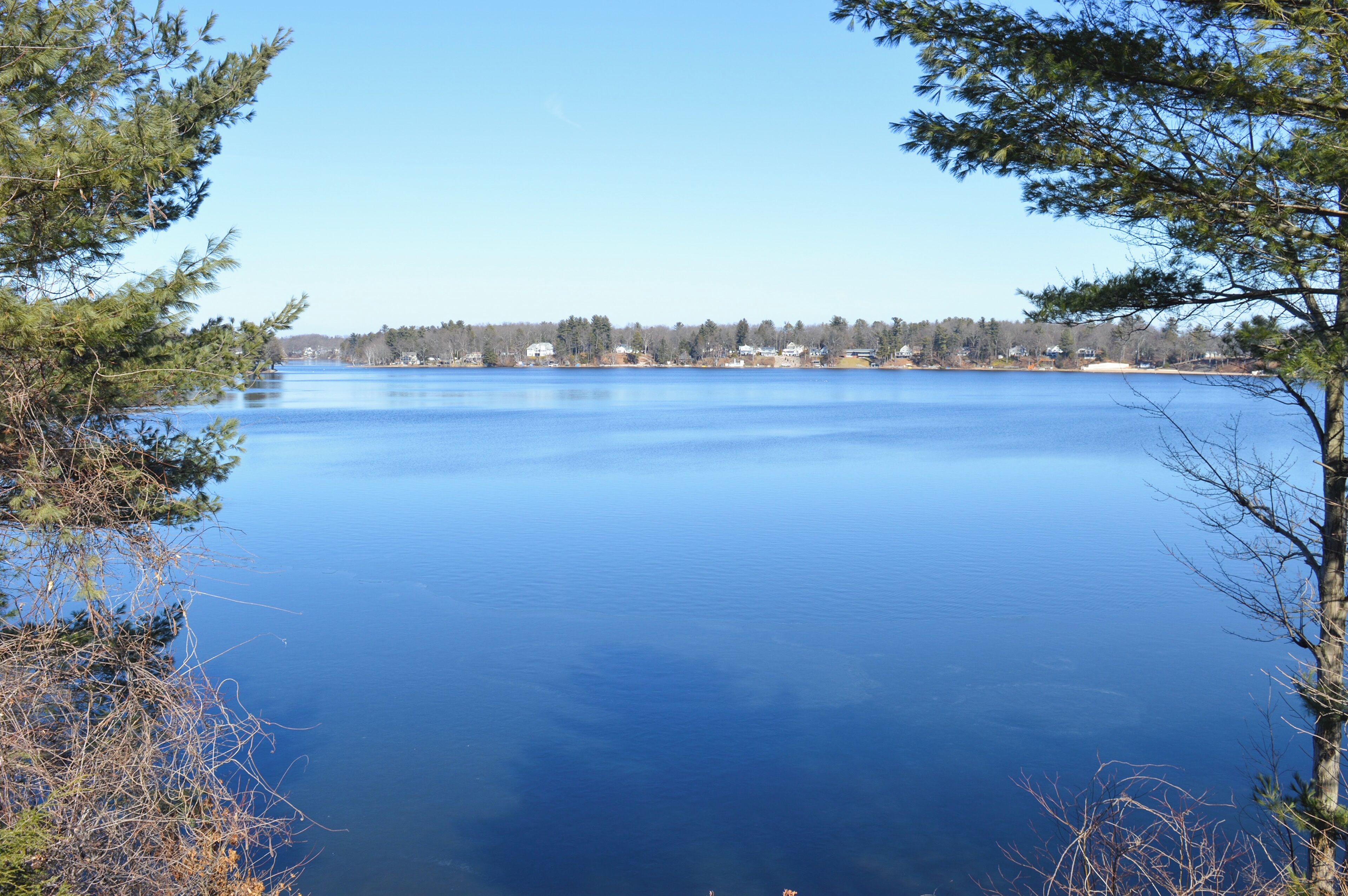 A calm lake with a clear view of the shoreline, surrounded by trees.