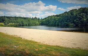 Ein sandiger Strand mit einem ruhigen See, umgeben von dichtem Wald.