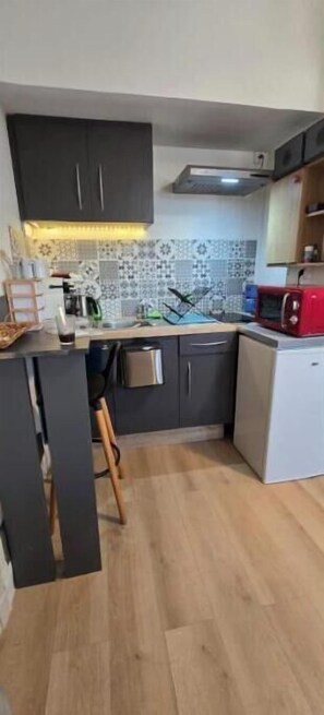 Private kitchen - Vrbo Property (Saint-Pierre-des-Corps)
