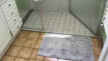Ducha, toallas, jabón, papel higiénico