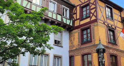 Apartment in the heart of Sélestat