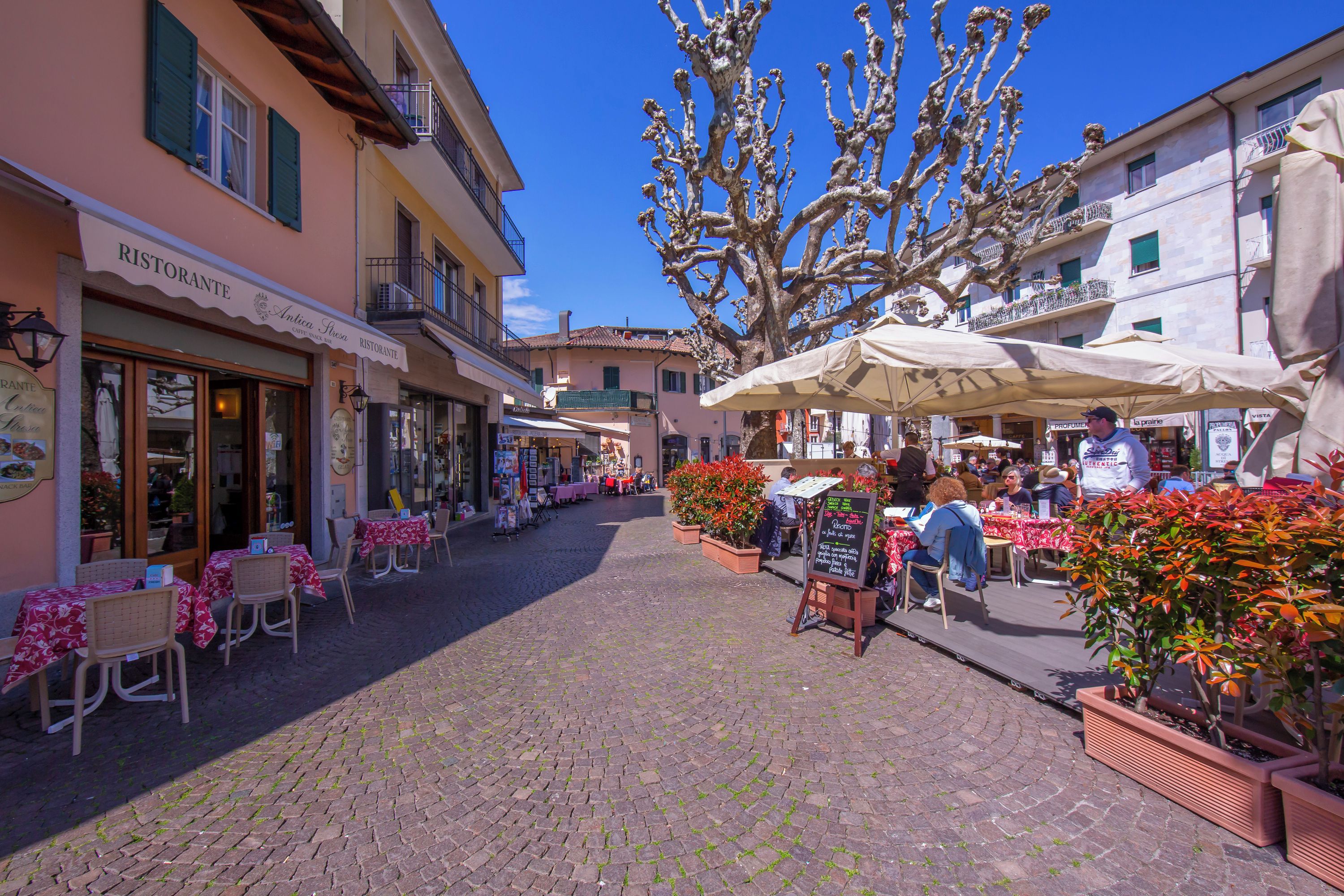 A cobblestone street with outdoor seating, a restaurant, and a large tree.