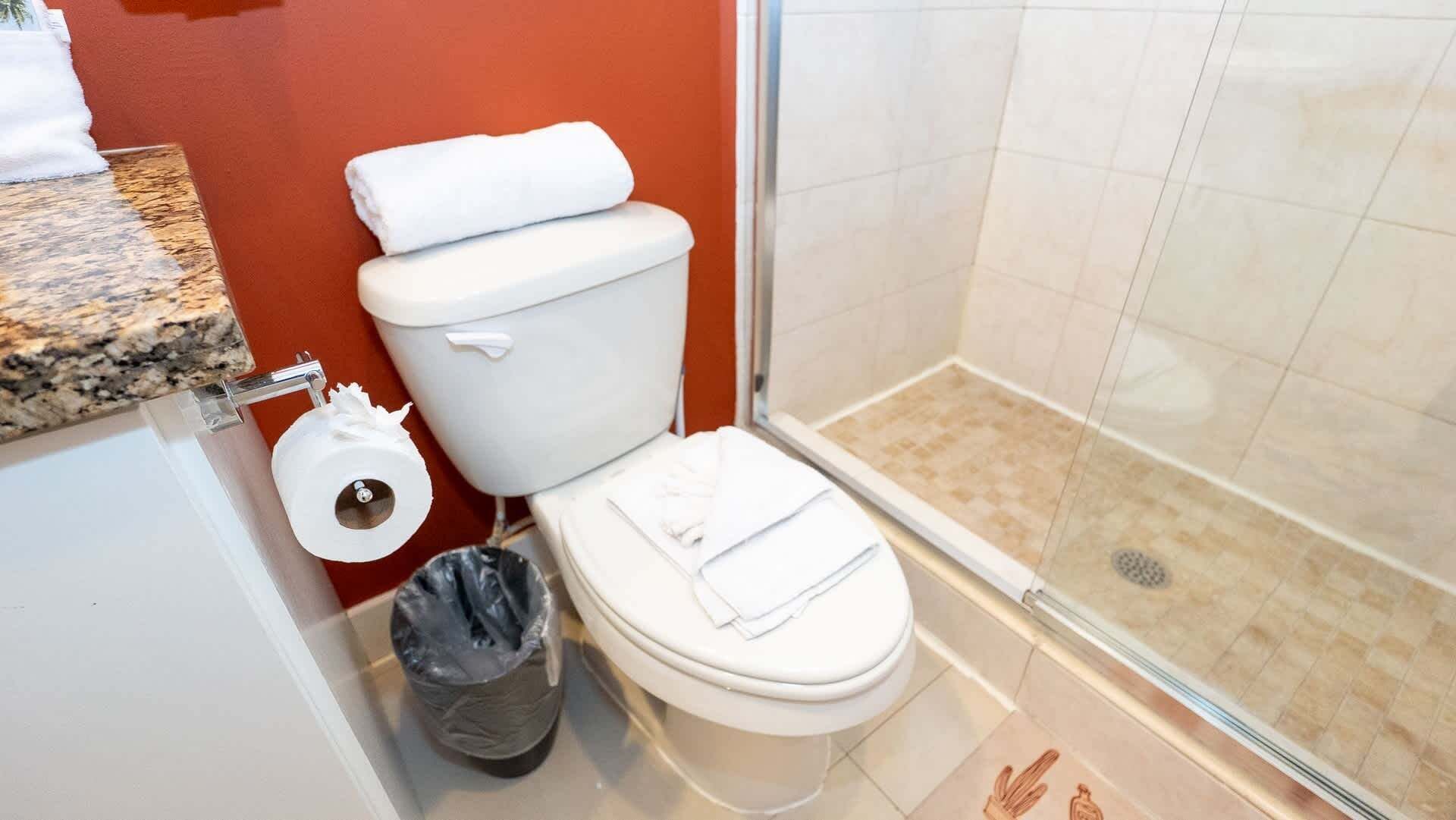 Et badeværelse med toilet, toiletpapir, skraldespand og bruseområde.