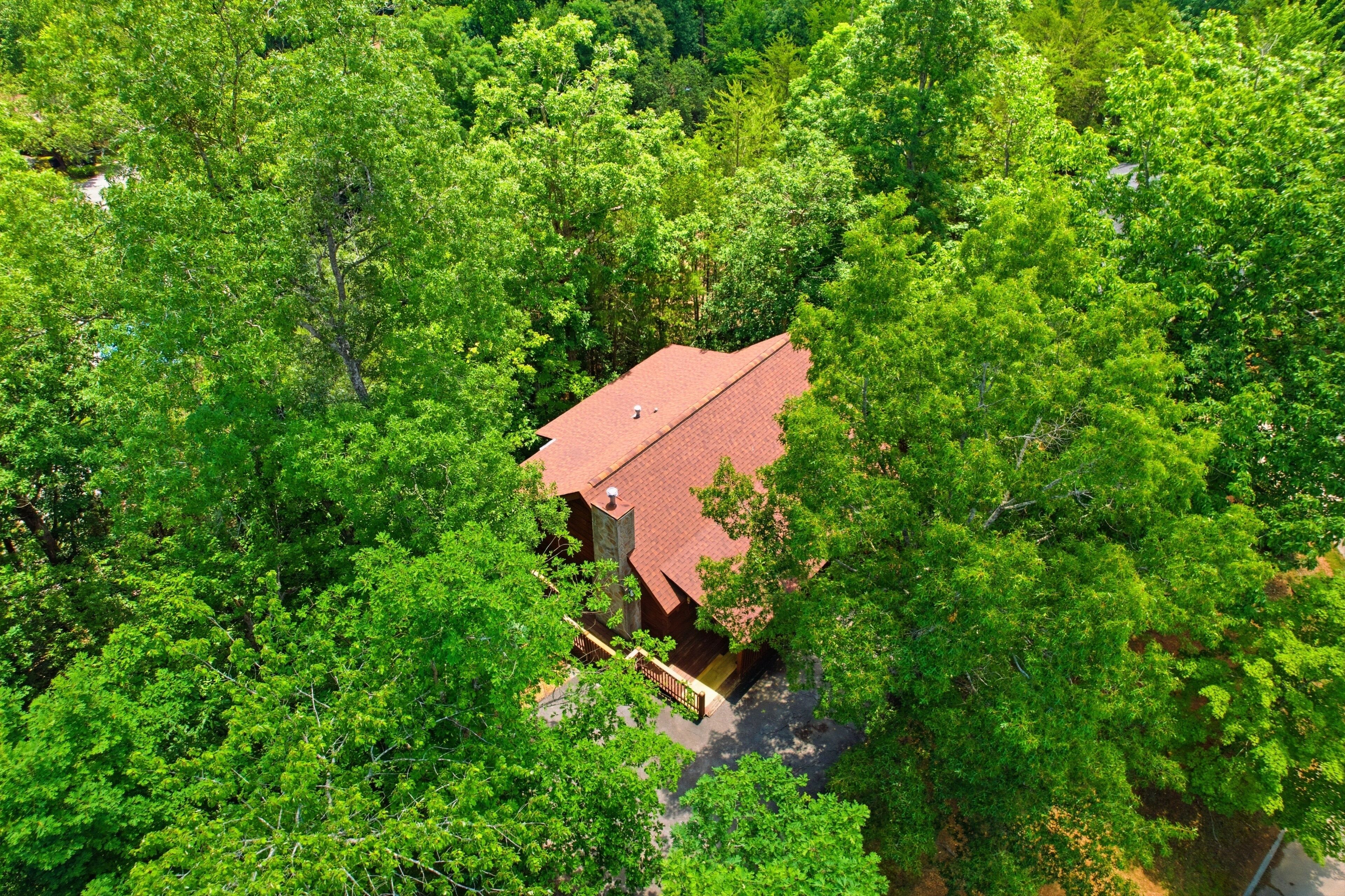 Cabaña, 1 habitación | Exterior