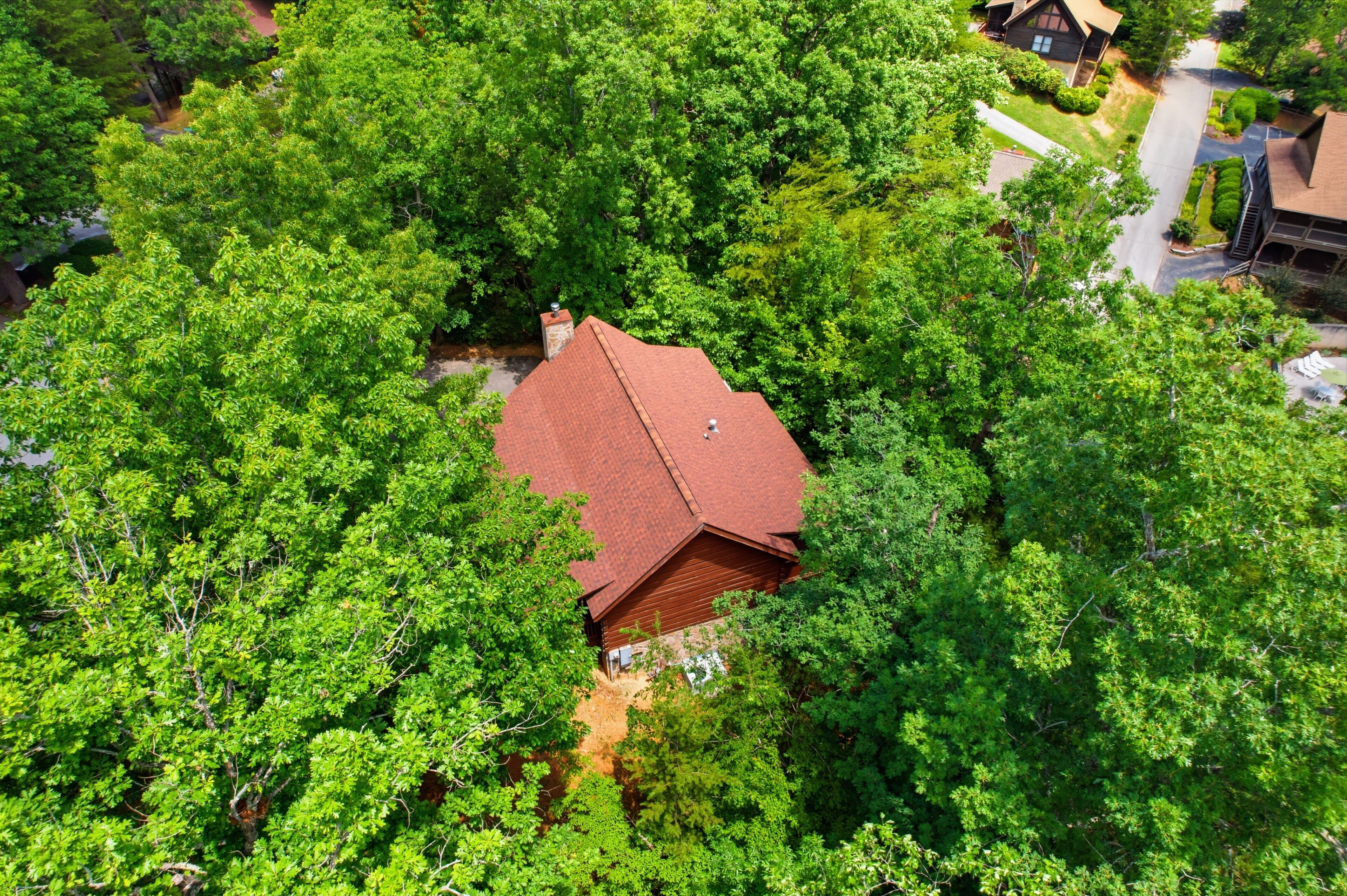 A house surrounded by dense green trees.