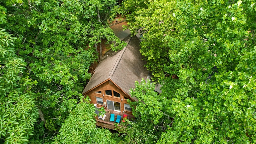 3 Bears Cabin 1 Bedroom Cabin