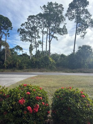 A landscaped area with trees, a paved path, and flowering shrubs. - Little Joe’s Cottage (Cocoa)