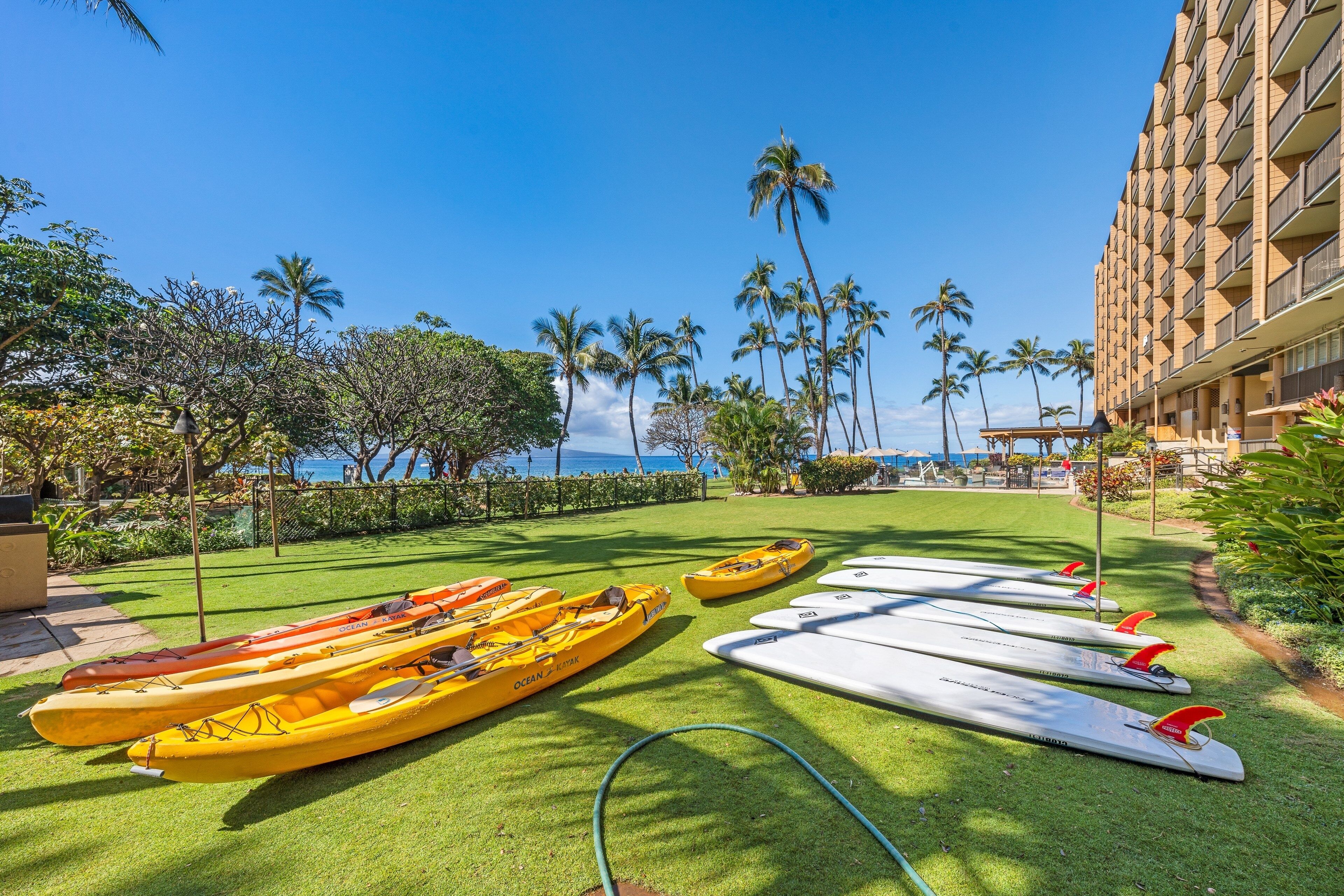 Une zone herbeuse avec des kayaks et des planches de surf, des palmiers et un bâtiment doté de balcons.