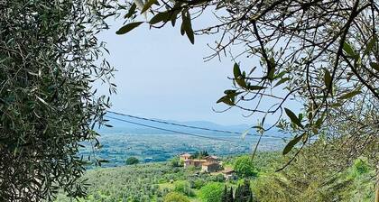 Tuscany natural stone house with fireplace & panorama - quiet near Vinci, close to Florence